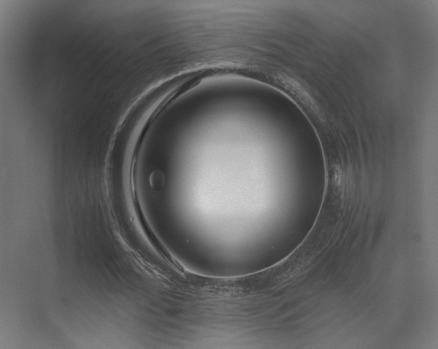 X0000075410676200609081312