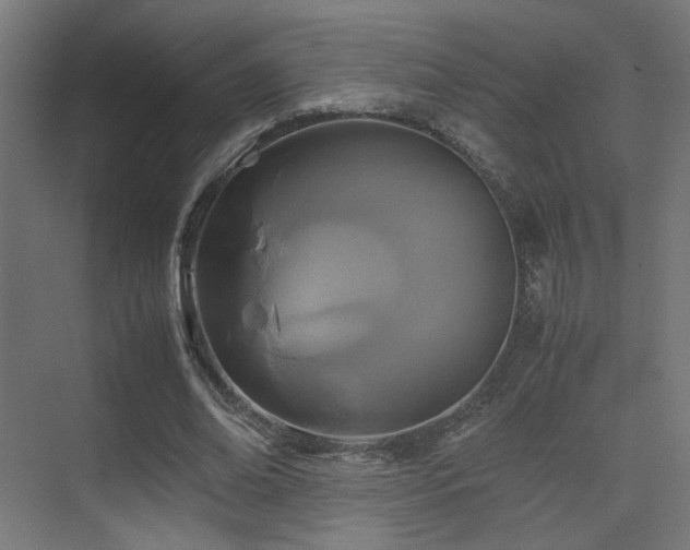 X0000075410678200609081312