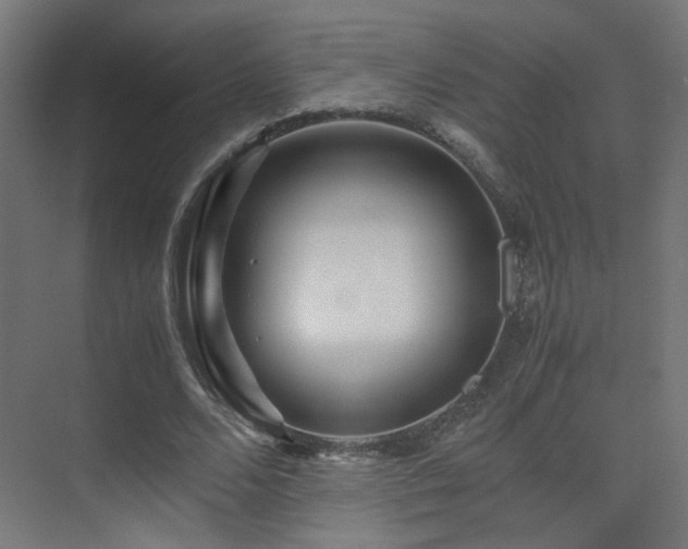 X0000075410680200609081312