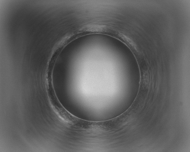 X0000075410682200609081312