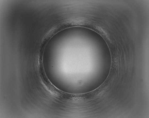 X0000075410686200609081312