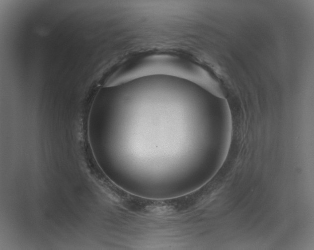 X0000075410689200609081312