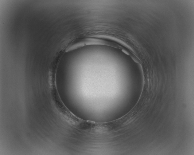 X0000075410696200609081311