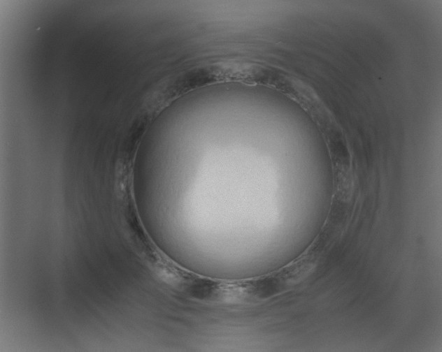X0000075410701200609081311