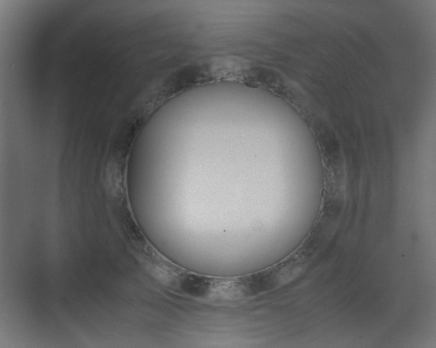 X0000075410705200609081311