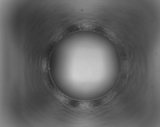 X0000075410709200609081311