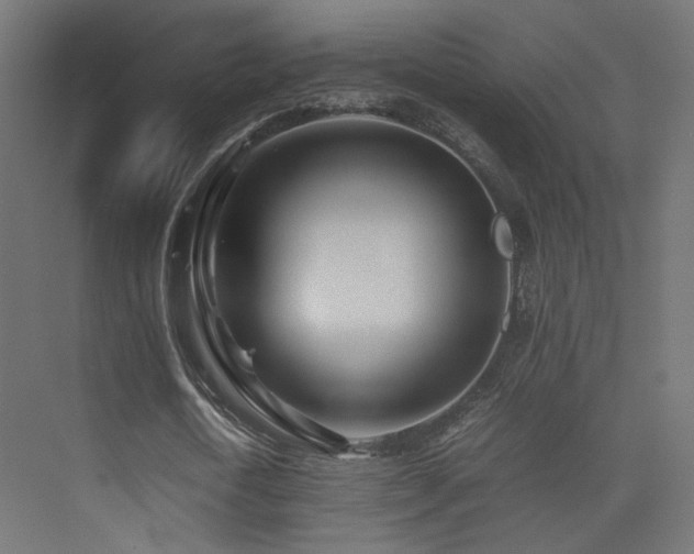 X0000075410722200609081310