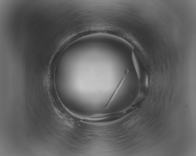 X0000075410724200609081310