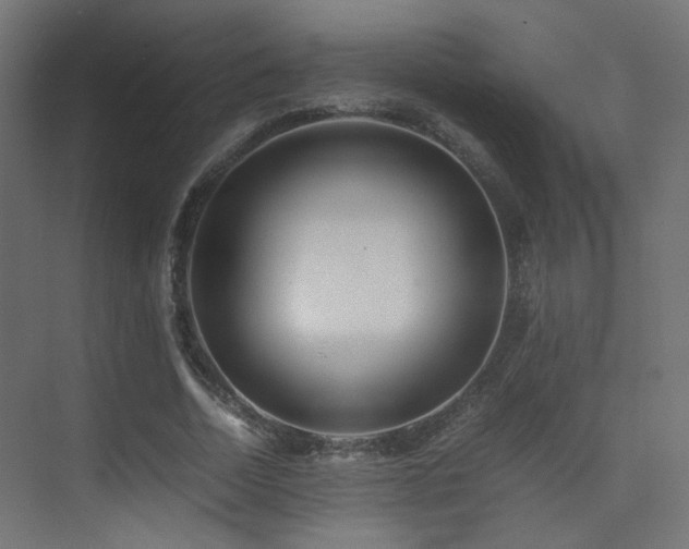 X0000075410730200609081310