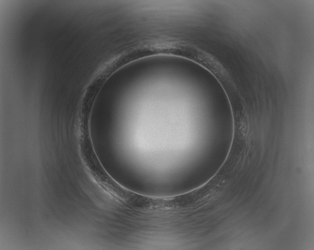 X0000075410732200609081310