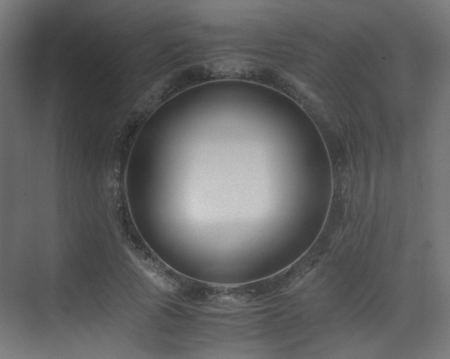 X0000075410737200609081311