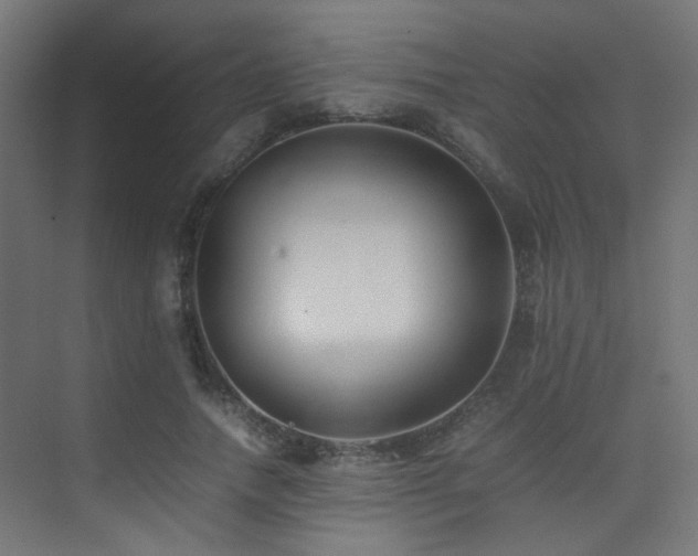 X0000075410738200609081311