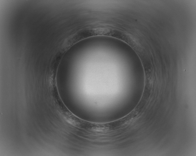 X0000075410745200609081311