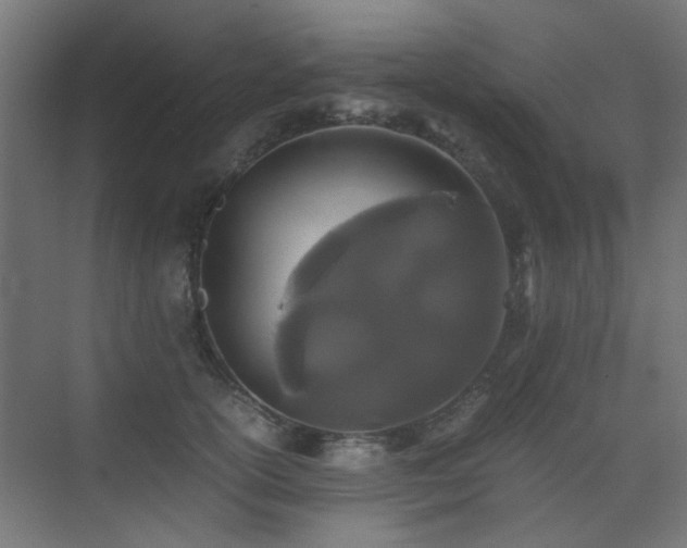 X0000075410754200609081311