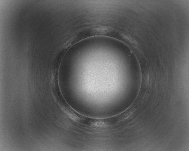 X0000075410759200609081311