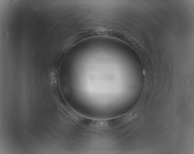 X0000075410768200609081311