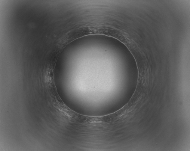 X0000075410770200609081310