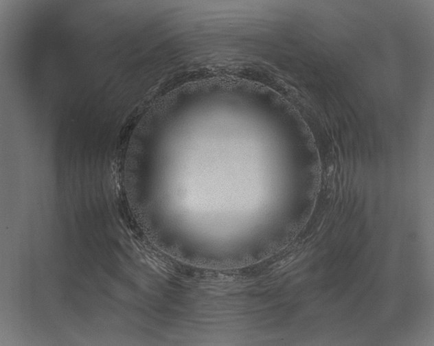 X0000075410772200609081310