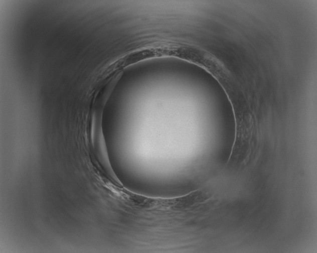 X0000075410773200609081310
