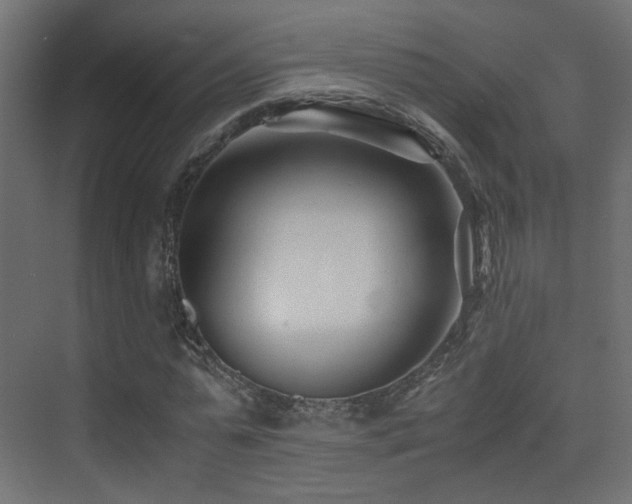 X0000075410775200609081310