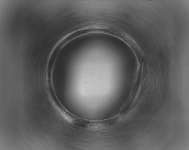 X0000075410784200609081310