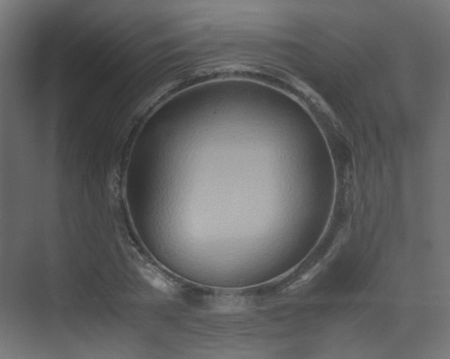 X0000075410785200609081310