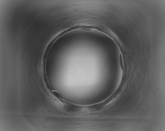 X0000075410787200609081310
