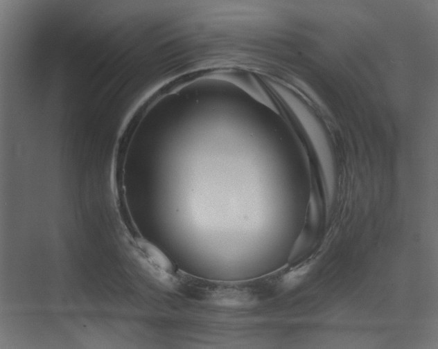 X0000075410788200609081310