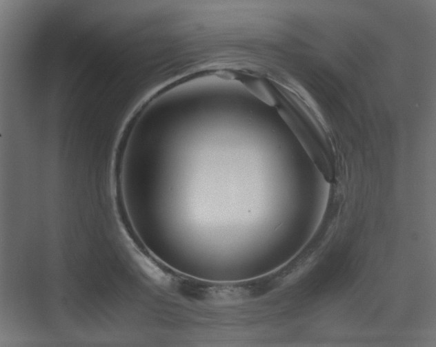 X0000075410795200609081310