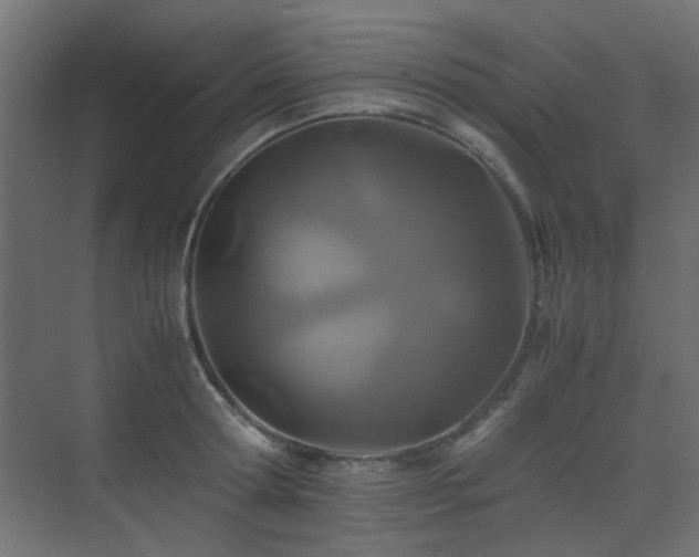 X0000075410802200609081310