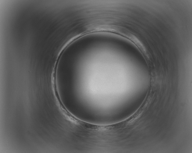 X0000075410814200609081309