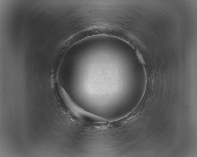X0000075410822200609081309