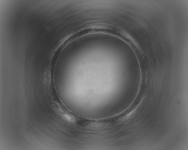 X0000075410829200609081309
