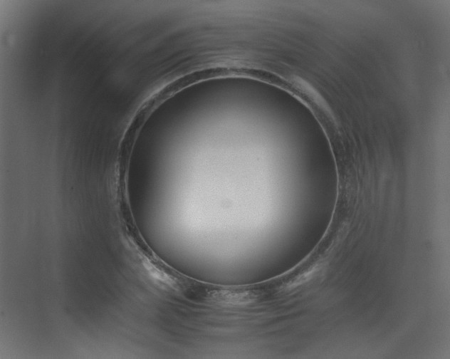 X0000075410831200609081309