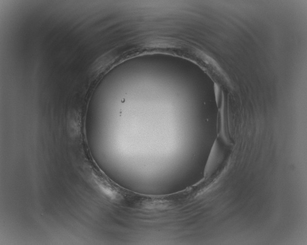 X0000075410833200609081309