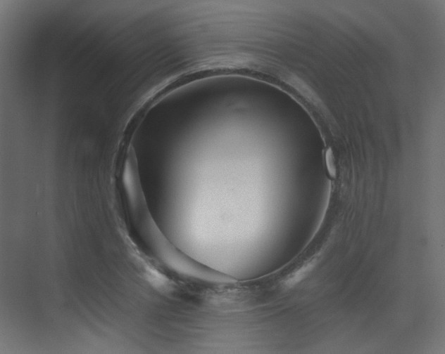 X0000075410834200609081309