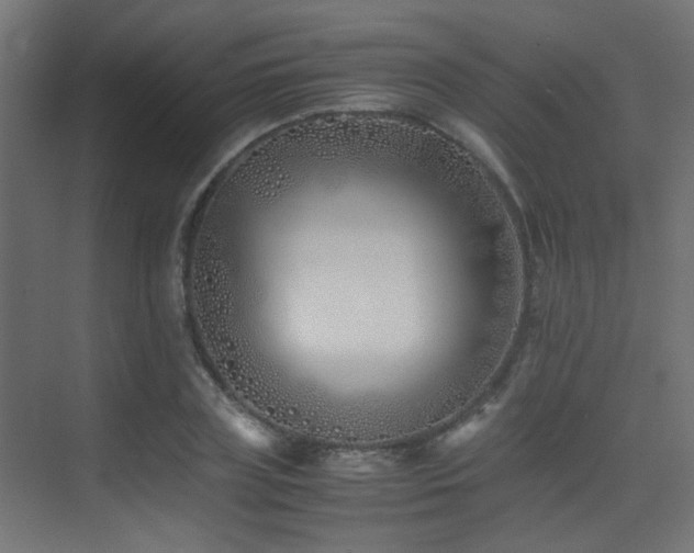 X0000075410835200609081309