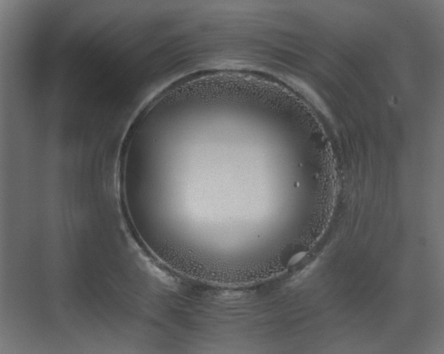 X0000075410839200609081309