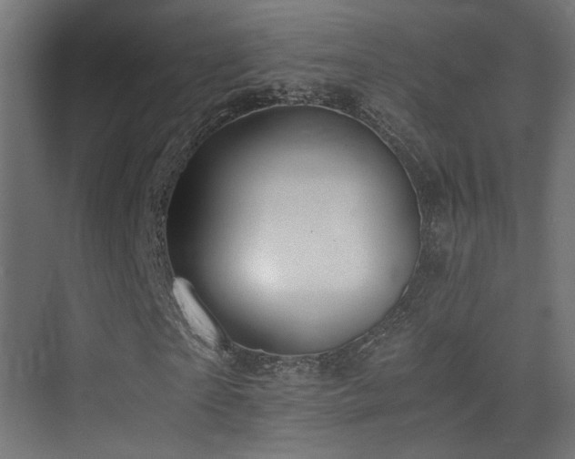 X0000075410865200609081309