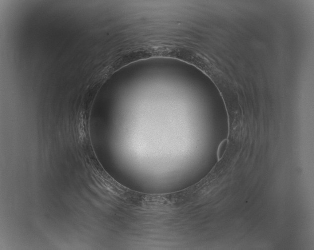 X0000075410866200609081309