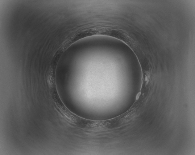 X0000075410867200609081309