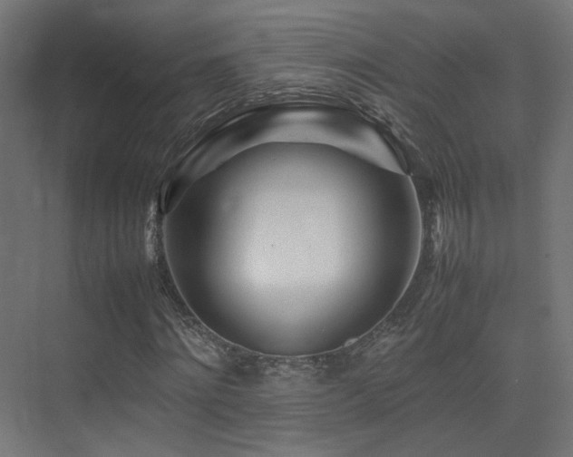 X0000075410868200609081309