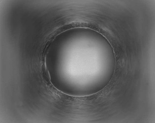 X0000075410870200609081309