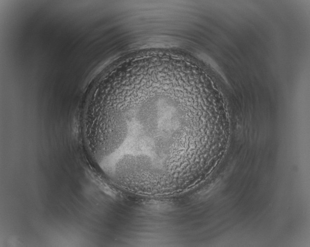 X0000075410874200609081308