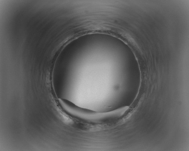 X0000075410881200609081308