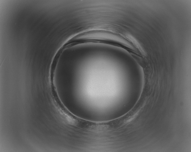 X0000075410884200609081308