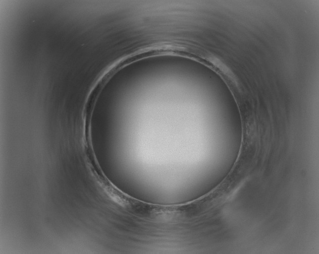 X0000075410886200609081308