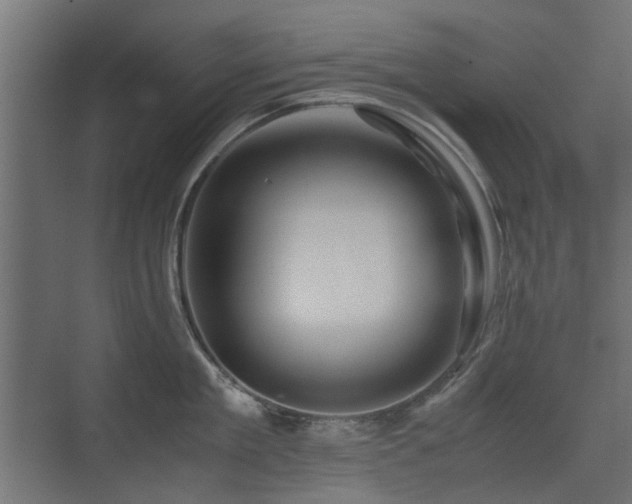 X0000075410909200609081308