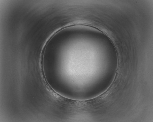 X0000075410912200609081308