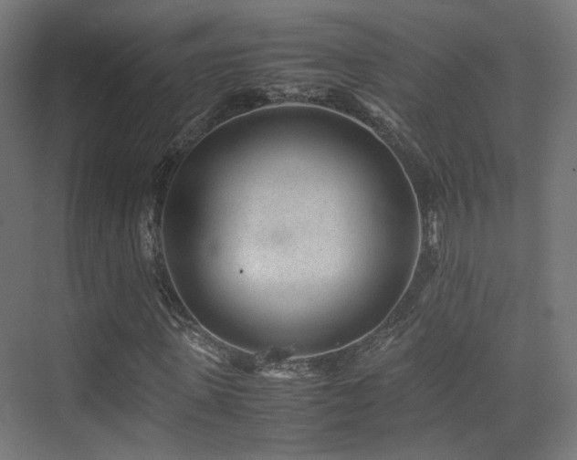 X0000075410915200609081307